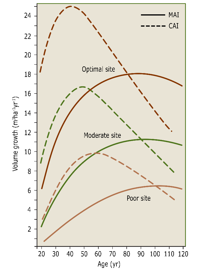 A diagram of a graph AI-generated content may be incorrect.