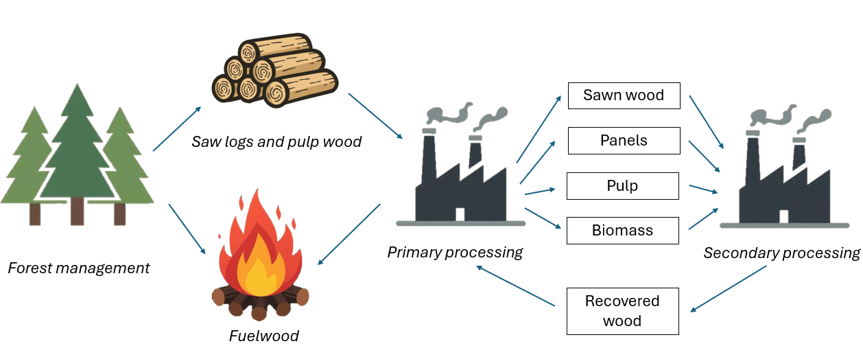 A diagram of wood processing
AI-generated content may be incorrect.