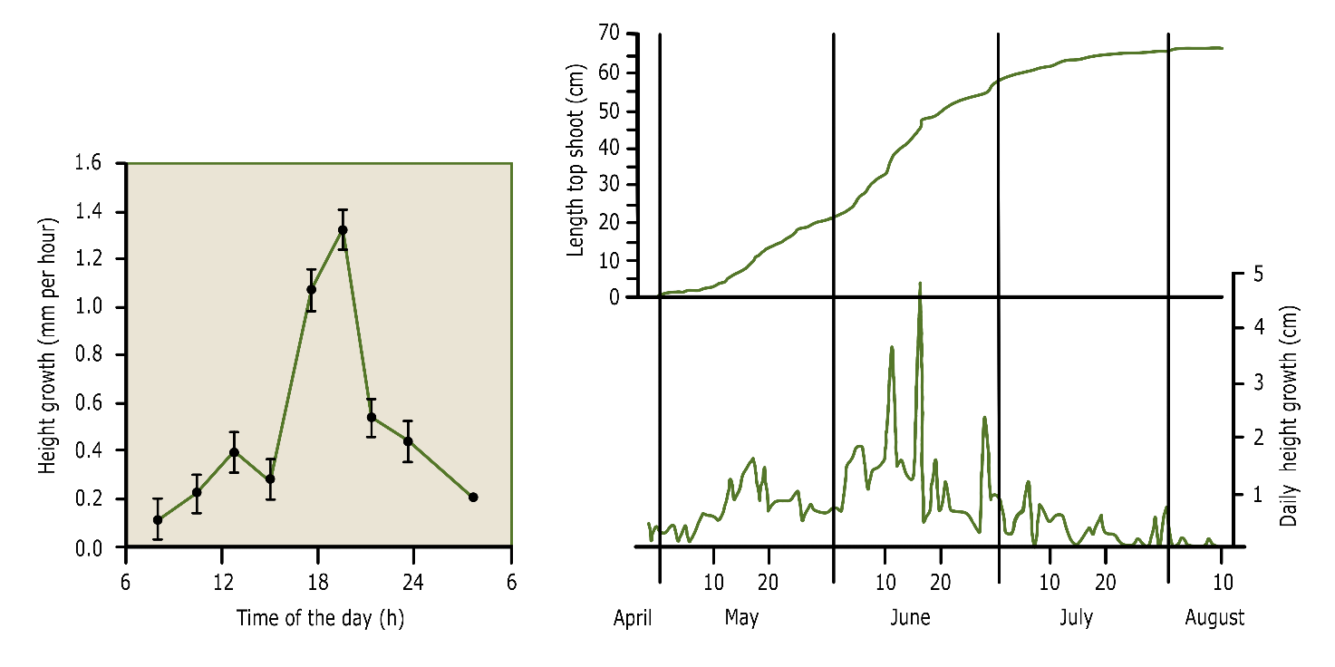 A graph of a graph of a graph AI-generated content may be incorrect.