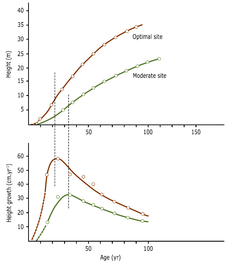 A graph of different sizes and colors AI-generated content may be incorrect.