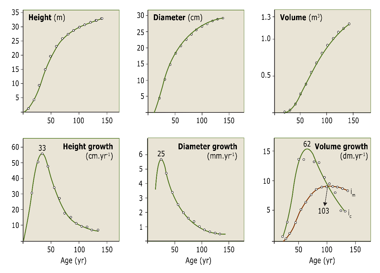 A graph of different sizes and colors AI-generated content may be incorrect.