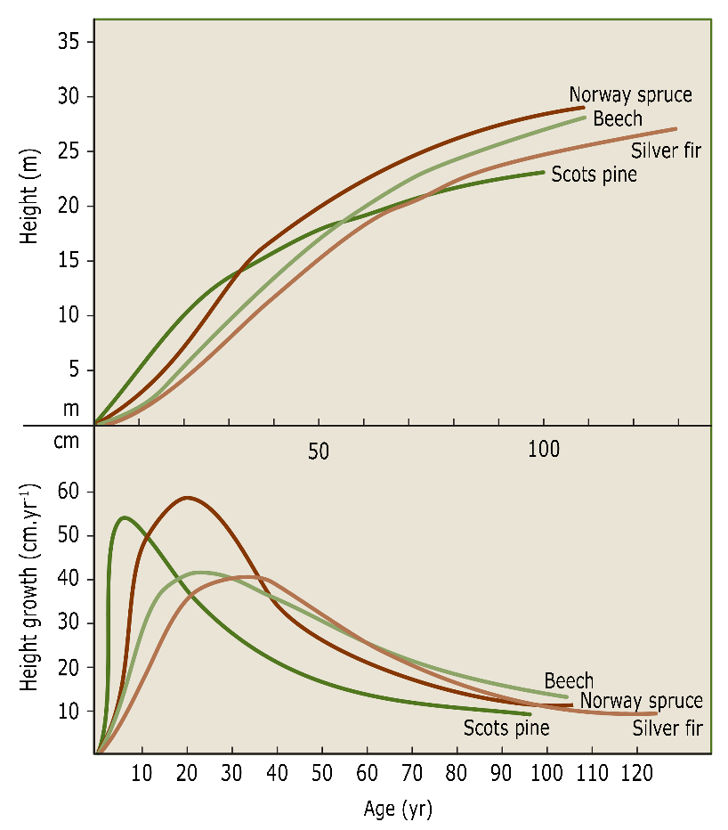 A graph of different types of growth AI-generated content may be incorrect.