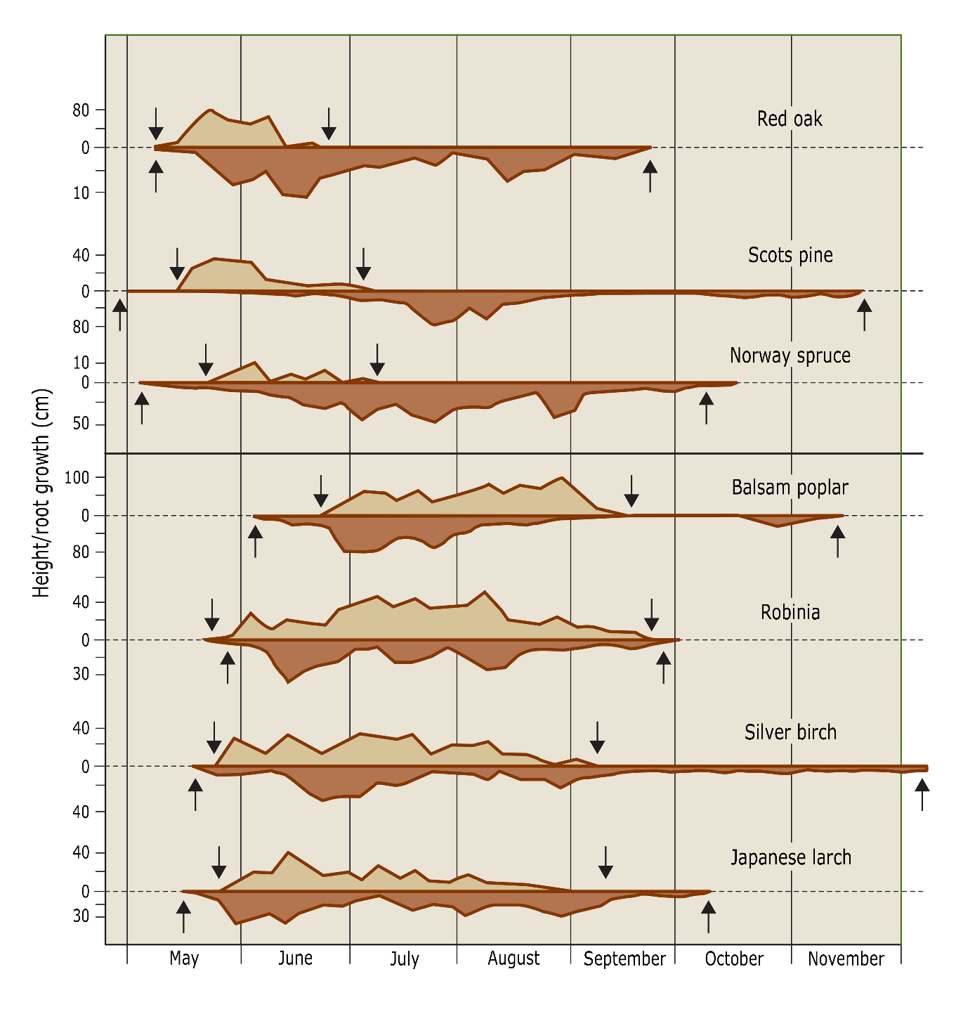 A graph showing different types of data AI-generated content may be incorrect.