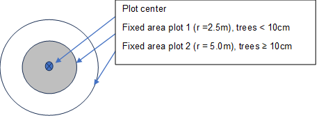 Ein Bild, das Screenshot, Text, Kreis, Uhr enthält. KI-generierte Inhalte können fehlerhaft sein.