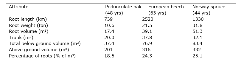 Ein Bild, das Text, Quittung, Screenshot, Schrift enthält. KI-generierte Inhalte können fehlerhaft sein.