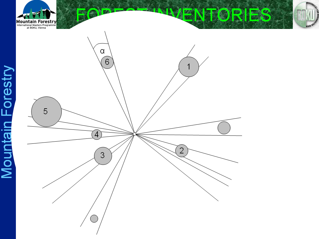 Ein Bild, das Text, Screenshot, Diagramm, Kreis enthält. KI-generierte Inhalte können fehlerhaft sein.