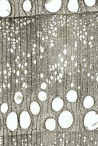 A close-up of a grey surface AI-generated content may be incorrect.