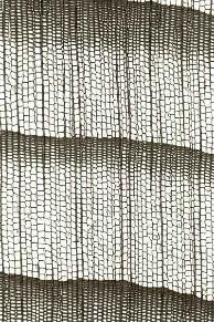 A close-up of a net AI-generated content may be incorrect.