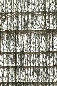 A close-up of a window AI-generated content may be incorrect.