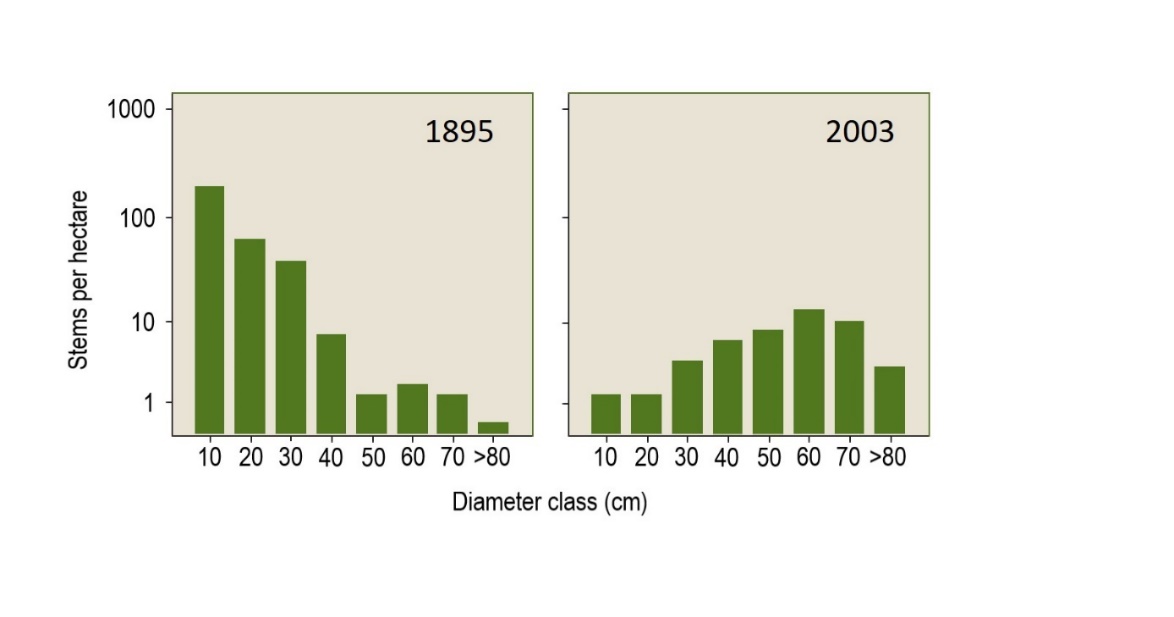 A comparison of a graph Description automatically generated with medium confidence