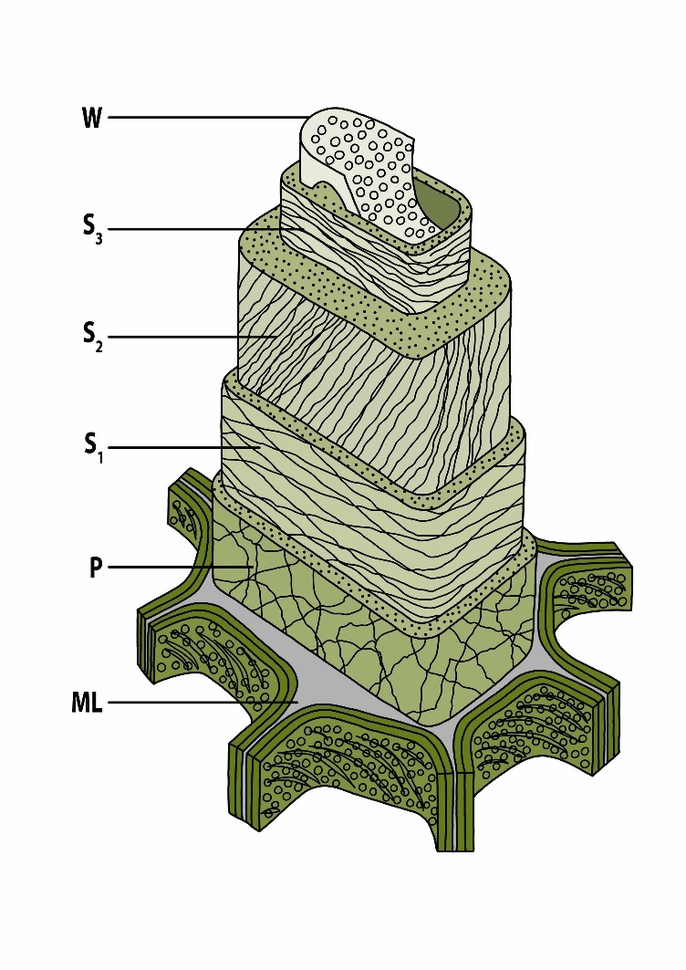 A diagram of a structure AI-generated content may be incorrect.