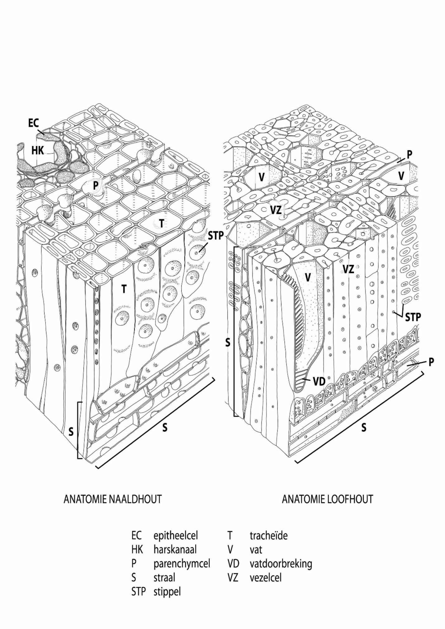 A diagram of a structure AI-generated content may be incorrect.
