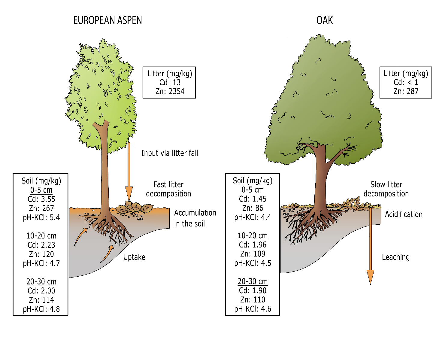 Afbeelding met tekst, diagram, kaart Door AI gegenereerde inhoud is mogelijk onjuist.