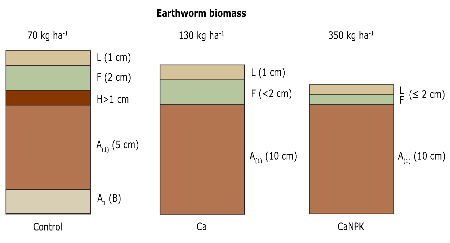 Afbeelding met tekst, schermopname, gebruind Door AI gegenereerde inhoud is mogelijk onjuist.