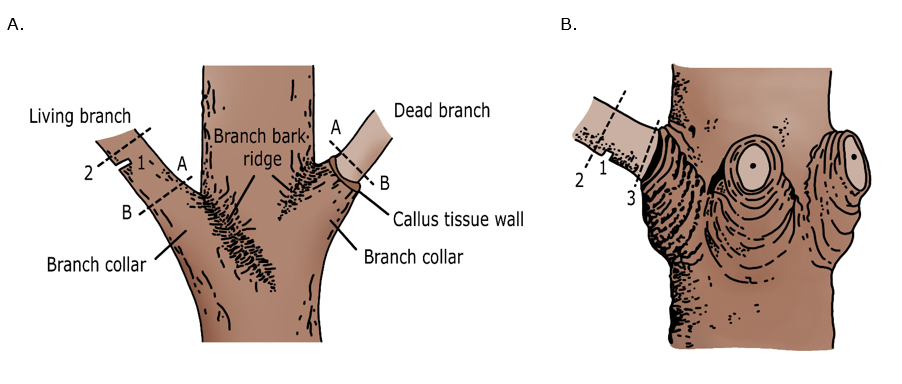 Ein Bild, das Entwurf, Text, Zeichnung, Kunst enthält. KI-generierte Inhalte können fehlerhaft sein.