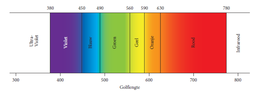 Ein Bild, das Screenshot, Farbigkeit, Text, Reihe enthält. KI-generierte Inhalte können fehlerhaft sein.