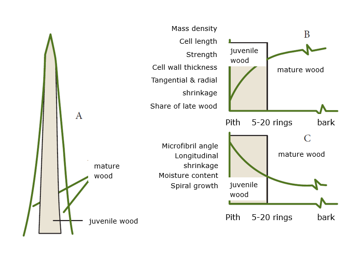 Ein Bild, das Text, Diagramm, Reihe enthält. KI-generierte Inhalte können fehlerhaft sein.