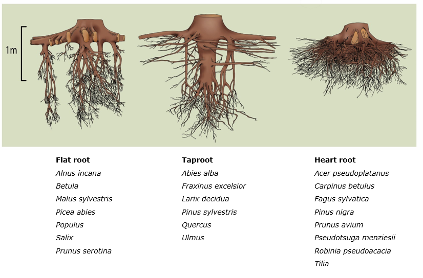 Ein Bild, das Text enthält. KI-generierte Inhalte können fehlerhaft sein.