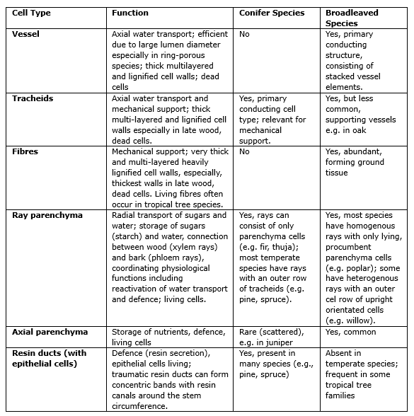 Ein Bild, das Text, Screenshot, Dokument, Schrift enthält. KI-generierte Inhalte können fehlerhaft sein.