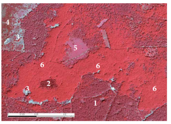 Ein Bild, das Weinrot, rot, Karminrot, Screenshot enthält. KI-generierte Inhalte können fehlerhaft sein.