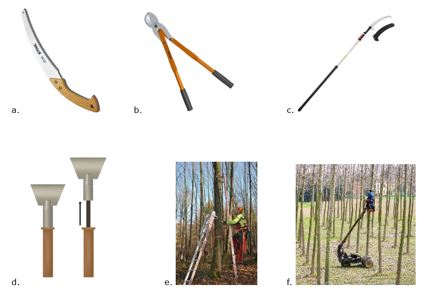 Ein Bild, das Werkzeug, Gras enthält. KI-generierte Inhalte können fehlerhaft sein.