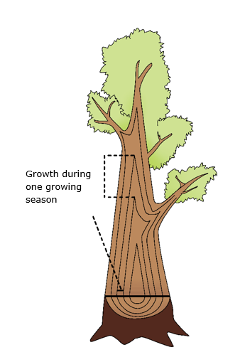 Ein Bild, das Zeichnung, Entwurf, Clipart, Darstellung enthält. KI-generierte Inhalte können fehlerhaft sein.